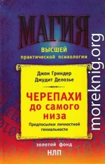 Черепахи до самого низа. Предпосылки личной гениальности