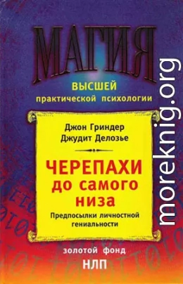 Черепахи до самого низа. Предпосылки личной гениальности