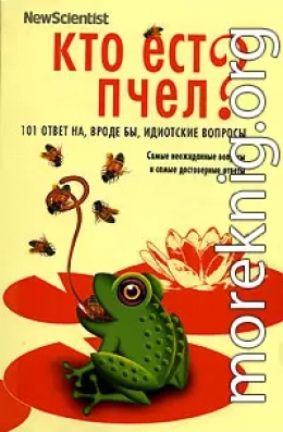 Кто ест пчел? 101 ответ на, вроде бы, идиотские вопросы
