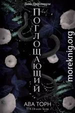 Поглощающий