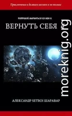 Вернуть себя. Том 6