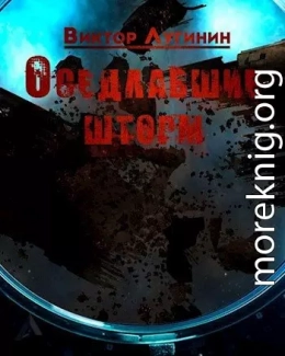 Оседлавшие шторм