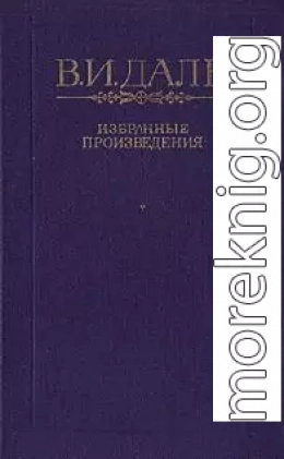 Петербургский дворник