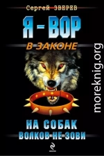 На собак волков не зови