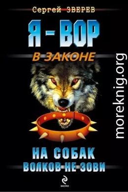 На собак волков не зови