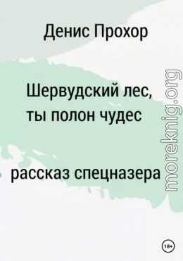 Шервурдский лес, ты полон чудес. Рассказ спецназера