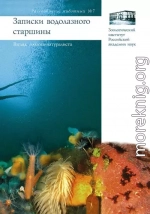 Записки водолазного старшины. Взгляд зоолога-натуралиста