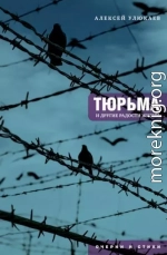 Тюрьма и другие радости жизни. Очерки и стихи