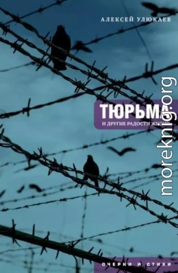 Тюрьма и другие радости жизни. Очерки и стихи