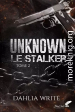 Неизвестный сталкер. Том 2