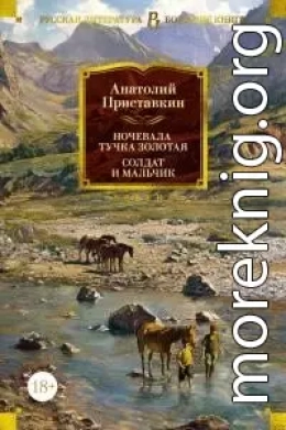 Ночевала тучка золотая. Солдат и мальчик [сборник Литрес]