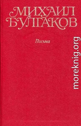 Том 10. Письма, Мой дневник