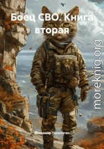Боец СВО. Книга вторая