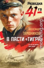 В пасти «тигра»