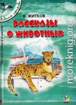 Рассказы о животных [сборник 2002, худ. В. Г. Челак]