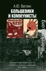 Большевики и коммунисты. Советская Россия, Коминтерн и КПГ в борьбе за германскую революцию 1918–1923 гг.