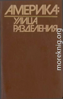 Америка: Улица Разделения