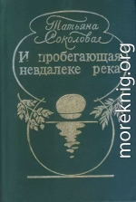 И пробегающая невдалеке река