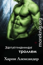 Запятнанная троллем