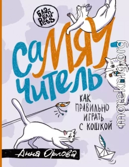 СаМЯУчитель. Как правильно играть с кошкой