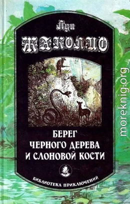 Берег черного дерева и слоновой кости. Корсар Ингольф. Грабители морей