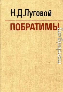 Побратимы