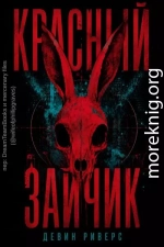 Красный зайчик