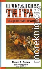 Пробуждение тигра - исцеление травмы