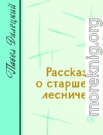 Рассказы о старшем лесничем