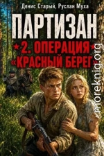 Партизан. Операция «Красный Берег»