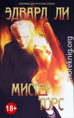 Мистер Торс