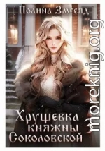 Хрущевка княжны Соколовской 3