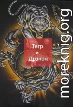 Тигр и Дракон (СИ)