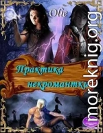 Практика некромантки