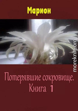 Потерявшие сокровище. Книга 1