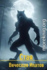 Стая