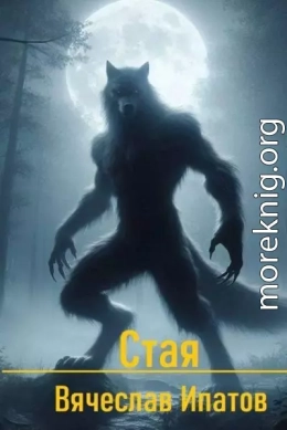 Стая
