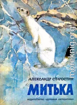 Митька