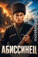 Абиссинец 1889. Том 1
