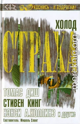Холод страха