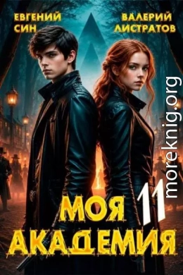 Моя Академия 11