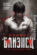 Проект «Близнец». Том 2