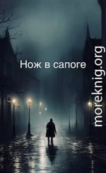 Нож в сапоге. Том 1. Черный кот. Часть 2.
