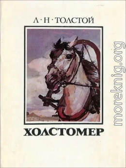 Холстомер