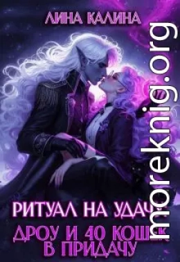 Ритуал на удачу: дроу и 40 кошек в придачу. Книга 2