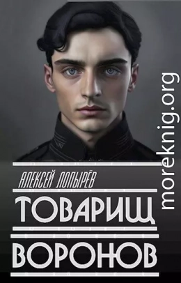 Товарищ Воронов (СИ)