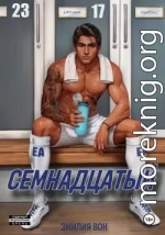 Семнадцатый