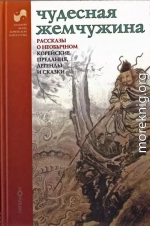 Чудесная жемчужина. Рассказы о необычном. Корейские предания легенды и сказки