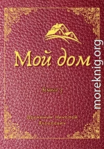 Мой дом. Книга 3