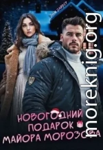 Новогодний подарок майора Морозова